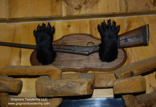 bear feet mounted on wall